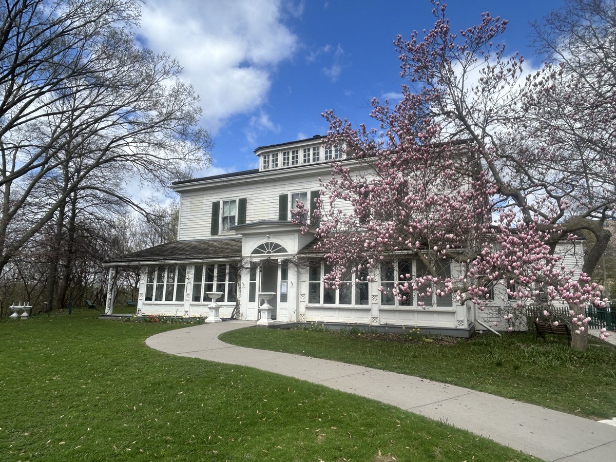 EldonHouse1834's tweet image. We can’t help sharing pictures of the house once the magnolia starts blooming. It’s a rule. Magnolia pictures always. 

#LdnOnt #Magnolia