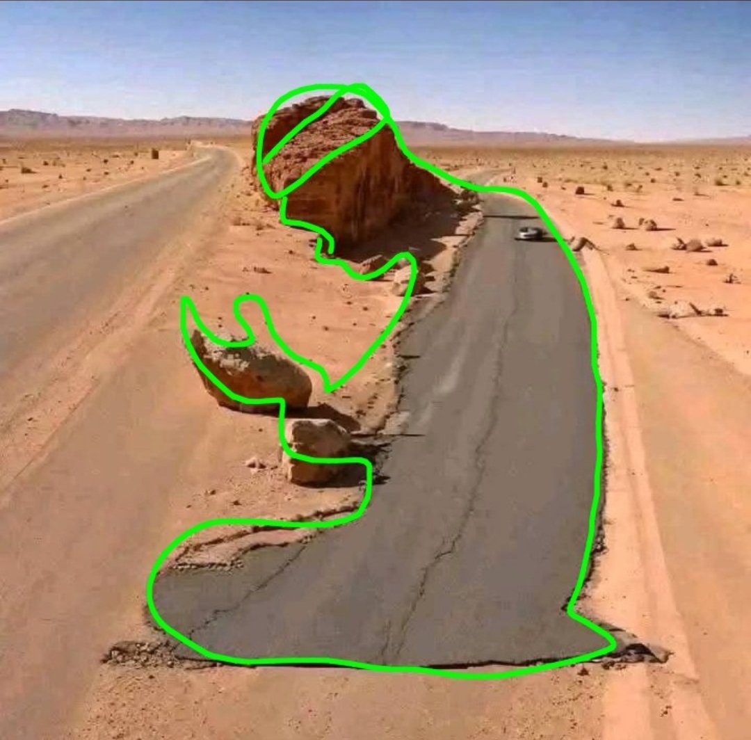 Suha🧚🏽‍♀️ tweet media