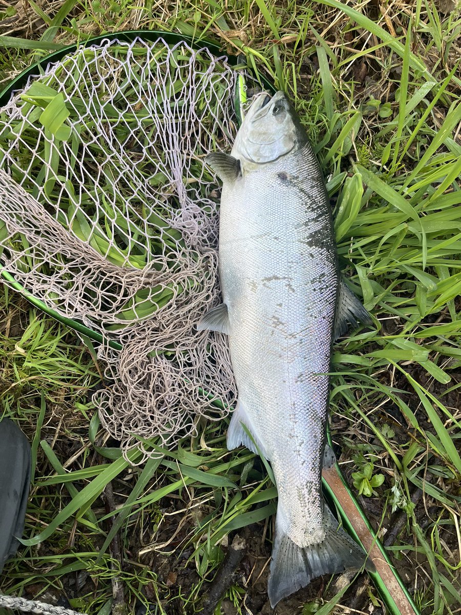 駆け出しアングラーＸ tweet media