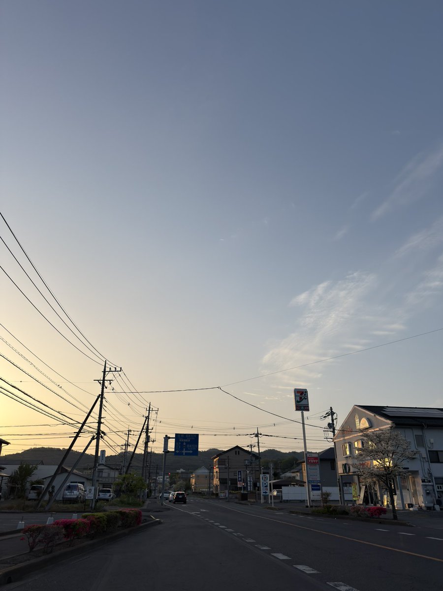 まめ🐶mametaro tweet media