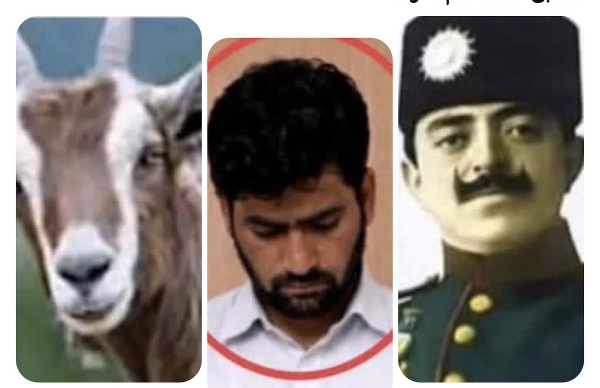محکمه فرانسه بزرا محکوم به مجازات و عامل آن را که برادر زاده قاری عیسی نیز می شود با تفویض مدال غازی امان الله فراری بی گناه اعلام نمود 

به گفته منابع دلیل بی گناهی احمدزی بزرگ شدن باحیوانات و کوچی بودن و مغاره نشینی شان بوده. 

یعنی حیوان بالای این کثافت های پرتعفن شرف دارد.