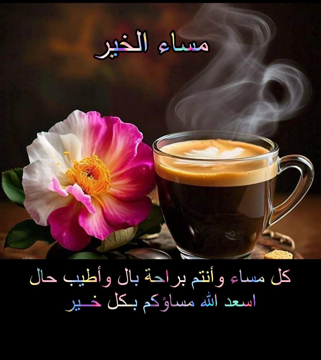 MOSTFAALI tweet media