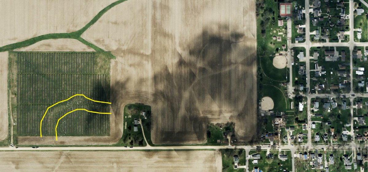 Nick Krasznavolgyi tweet media