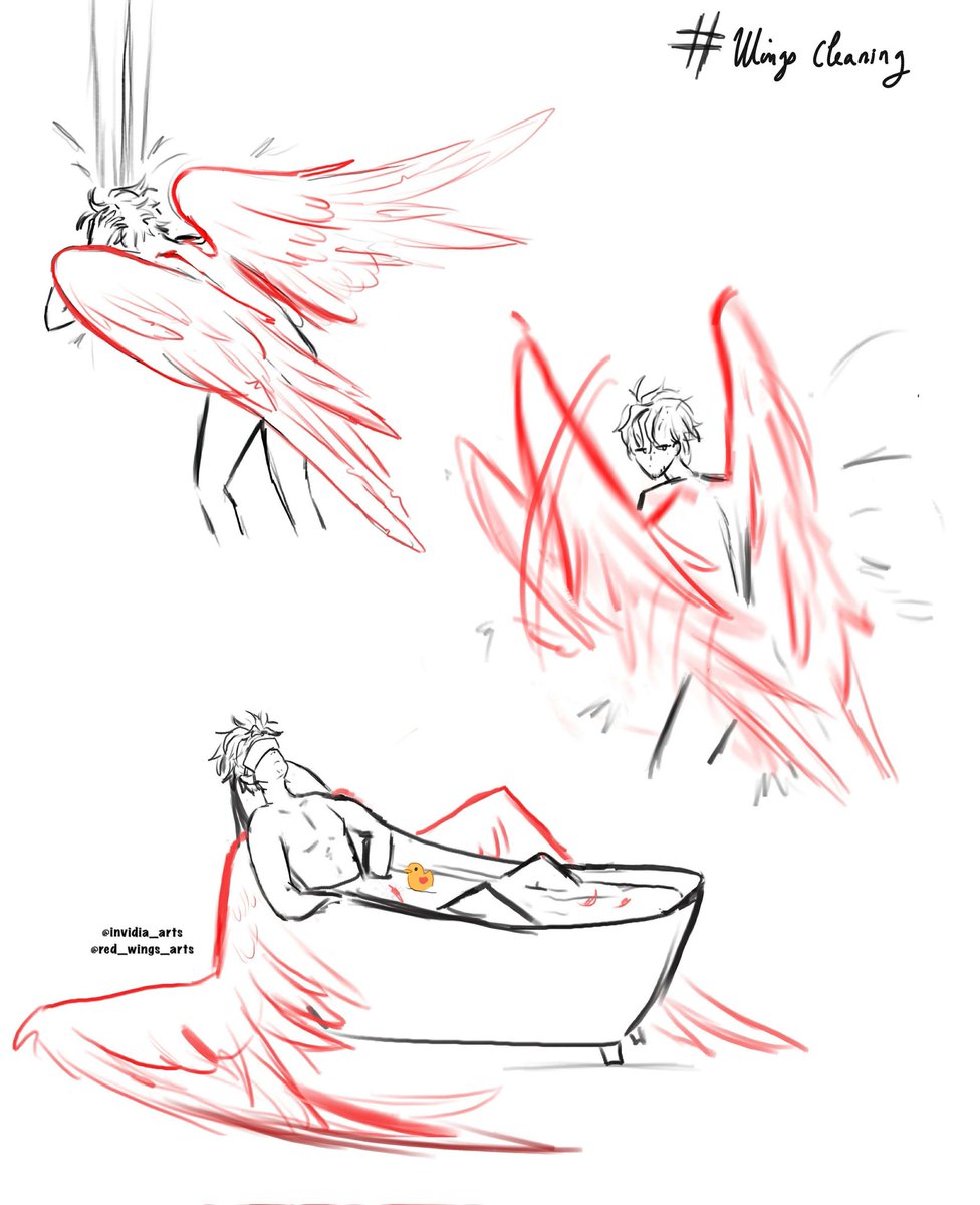 Invidia 🪶 tweet media