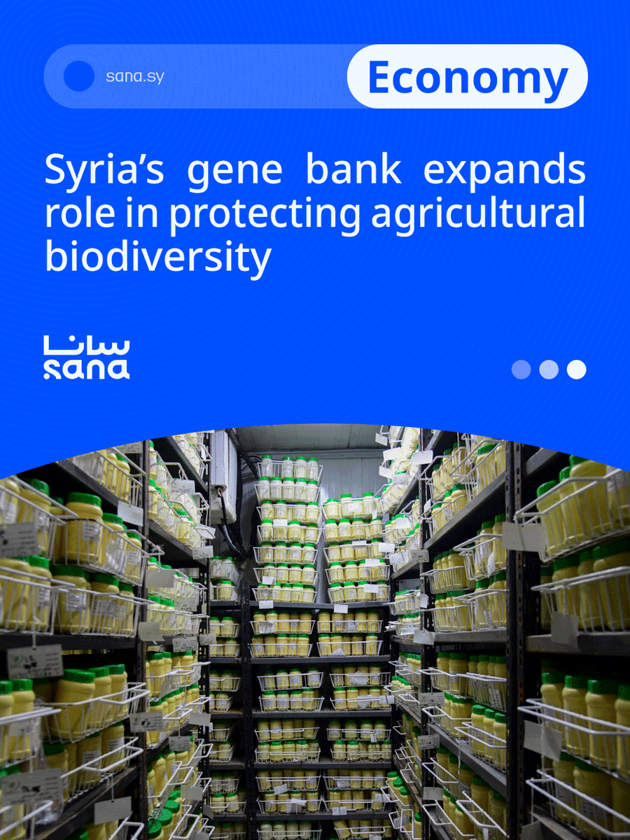 SANAEnOfficial's tweet image. Syria’s national gene bank is preserving thousands of plant genetic samples and supporting agricultural recovery efforts, with officials describing it as a strategic pillar for food security and climate resilience.
#Syria
#Agriculture
#Investment
#FoodSecurity