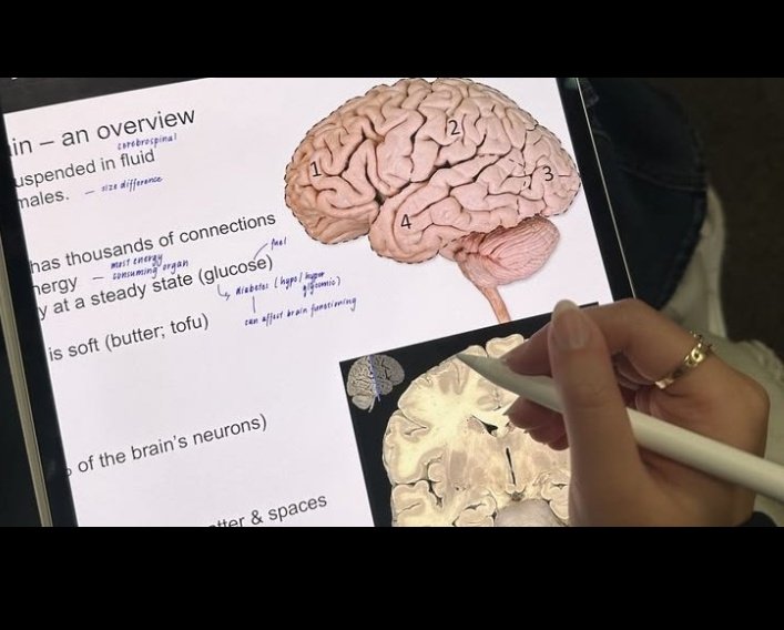 ella estudando pra med🩺 tweet media