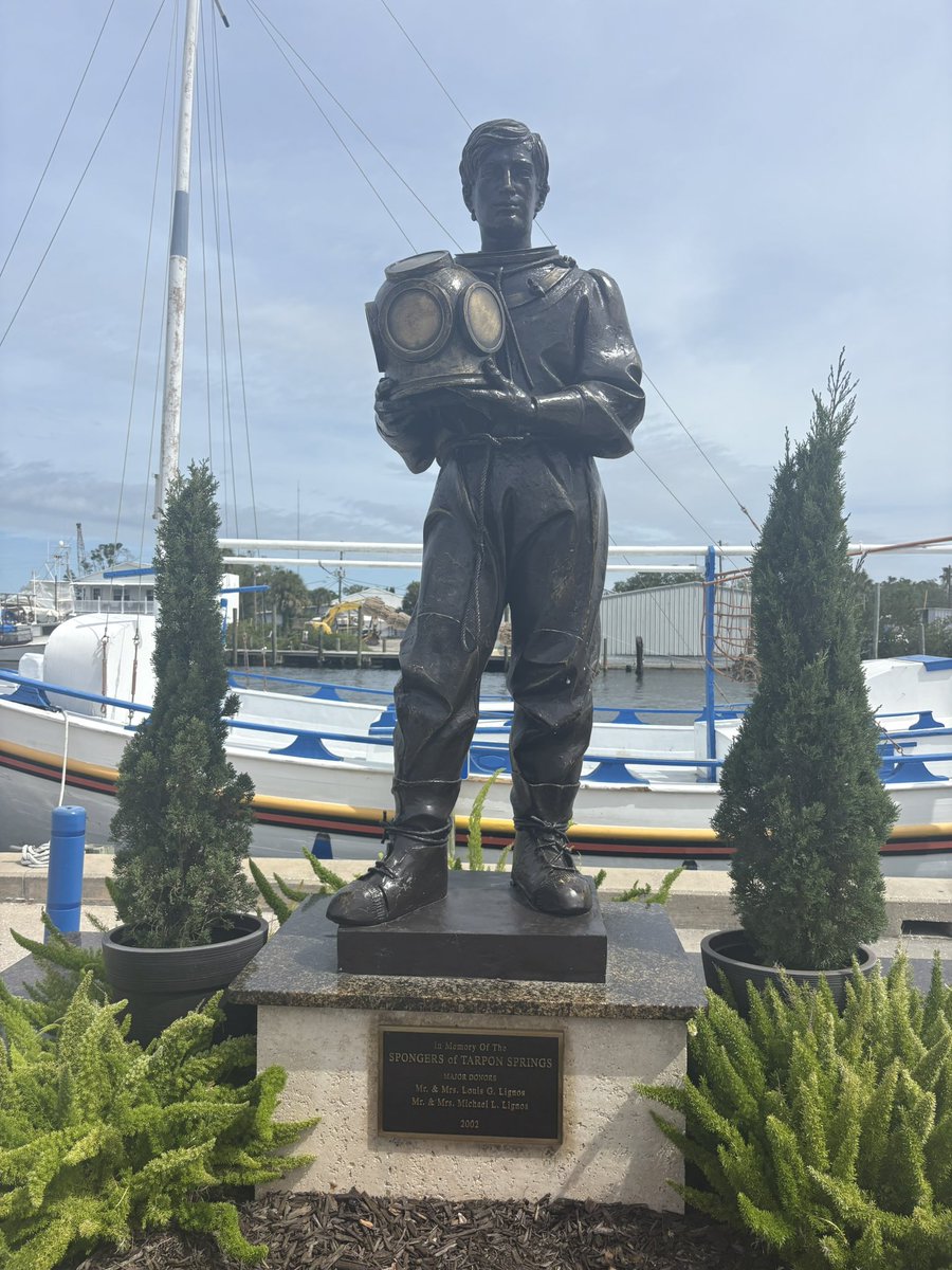 Diane Bee tweet media