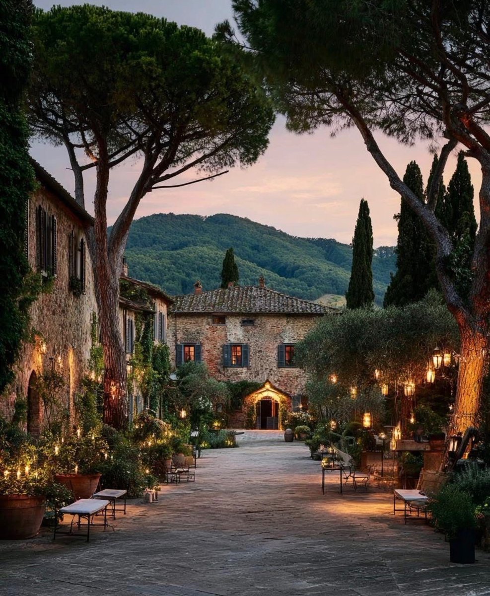 WORLD 2026 🌊 tweet media