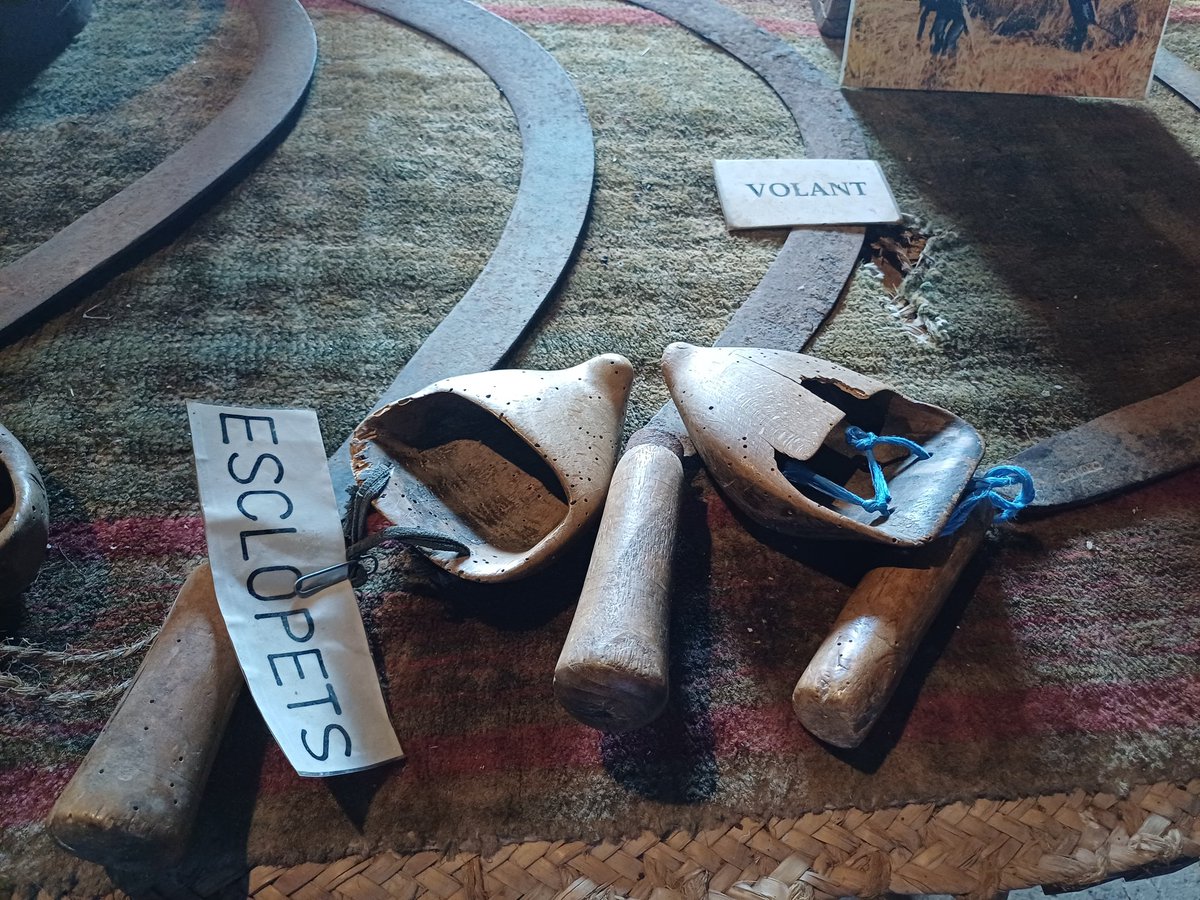 Aleix Sarri i Camargo tweet media