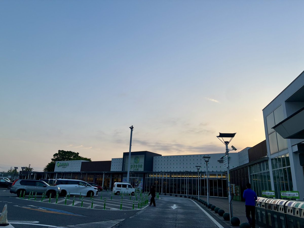 小笠原ユースホステルカタンクラブ tweet media