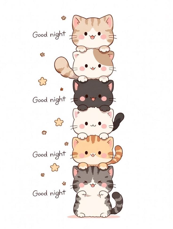 Solithra ☀️ tweet media