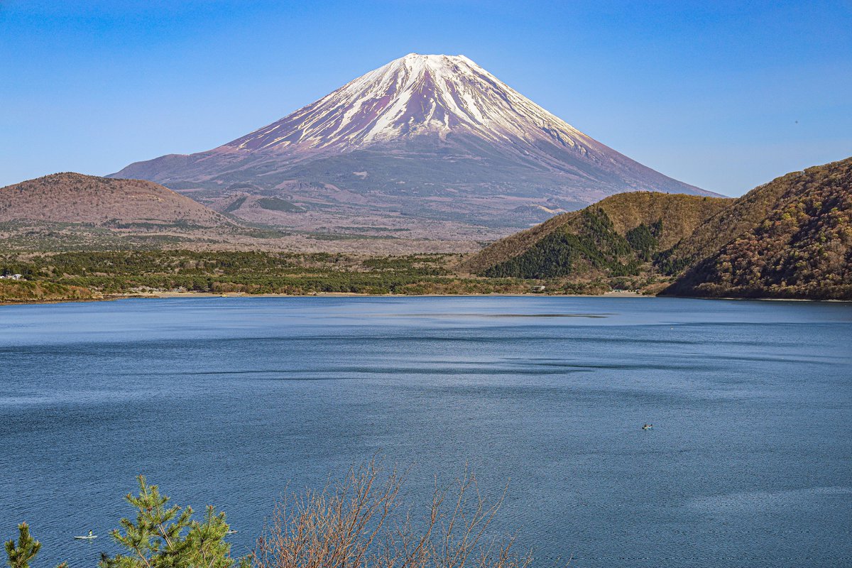 たかたか tweet media