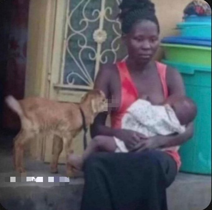 P A 🇧🇪 tweet media