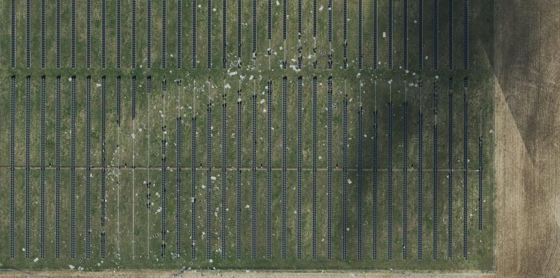 Nick Krasznavolgyi tweet media