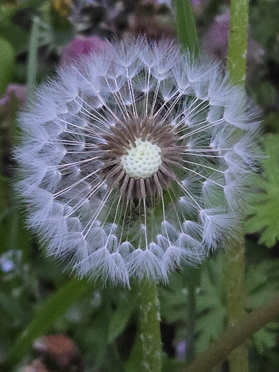 CUJWYkZrcG4dmFb's tweet image. おはようございます
今日の飯田市の天気☁/🌞
気温22℃の予報です
今週も宜しくお願い致します🙇
#Morning🐔🌅