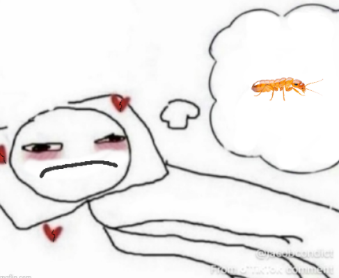 Kopper___ tweet picture