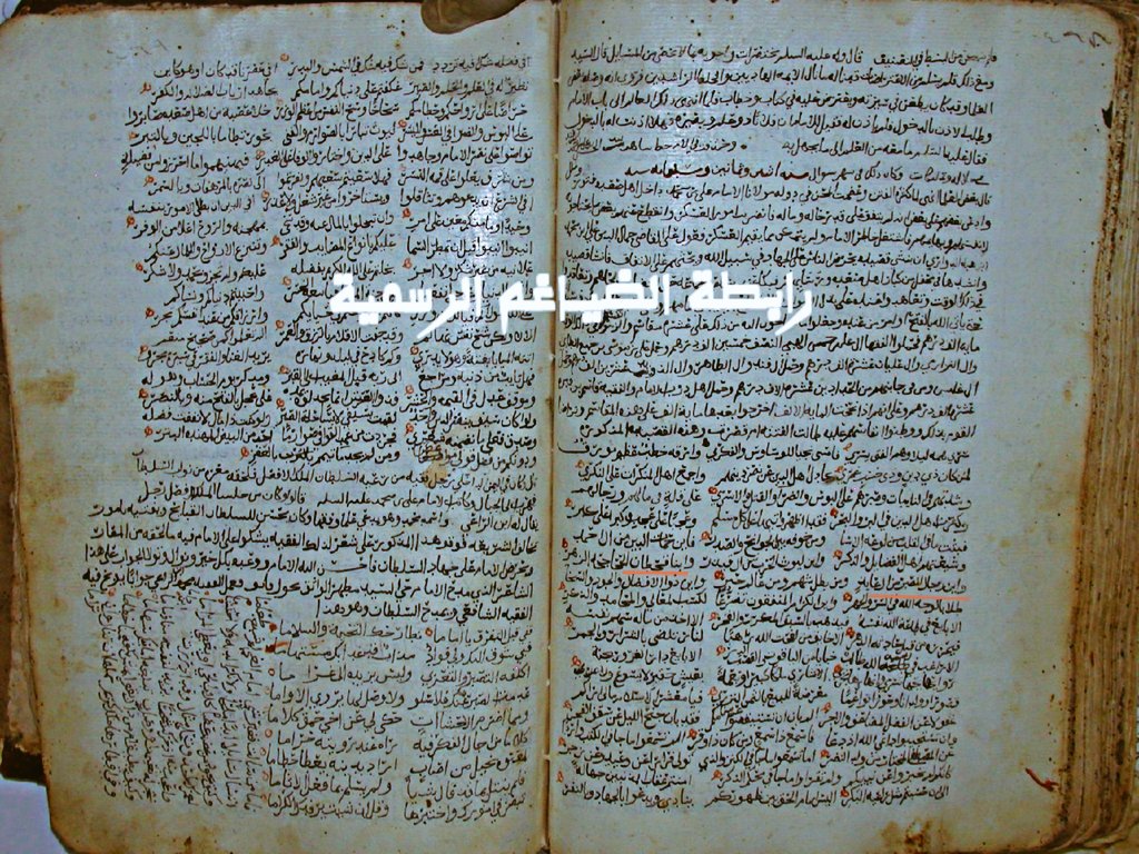 رابطة الضيــاغم الرسمية tweet media