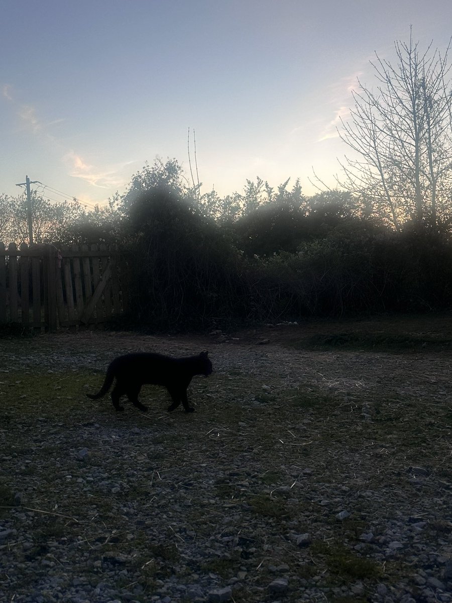AilsKelleher's tweet photo. There is a quiet hour when the light fades,
and the world seems to rest in its own shadow.

Sleep gently tonight,
you’ve done enough,
you are enough. ✨ https://t.co/PWh2PN10nD