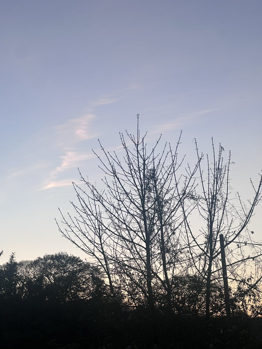 AilsKelleher's tweet photo. There is a quiet hour when the light fades,
and the world seems to rest in its own shadow.

Sleep gently tonight,
you’ve done enough,
you are enough. ✨ https://t.co/PWh2PN10nD