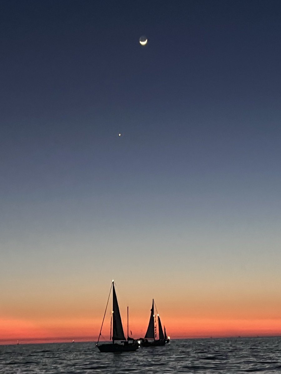 Ali DENİZ tweet media