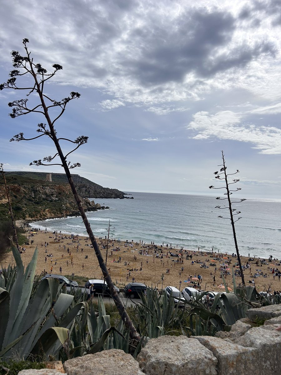 TravalaMan's tweet photo. I always rely on my Smart membership when i am travelling around the world.
The 10% giveback in $AVA, the super nice deals offered by @Travalacom for my diamond tier.

This spring it was #Malta that i visited. Many were happy to try the beaches early this year. https://t.co/zu139T3pnm