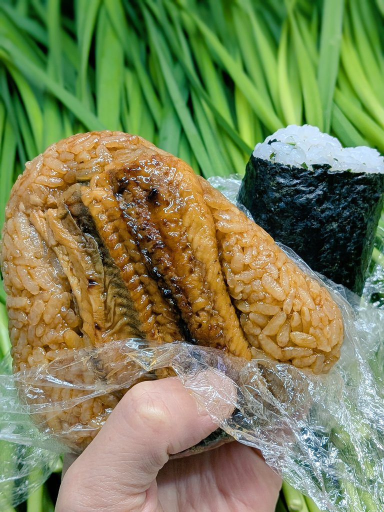 四つ葉のクローバー🍀 tweet media