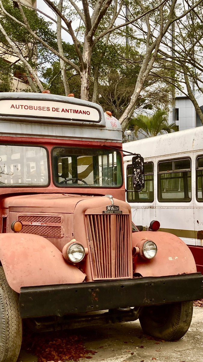 Mithrandir 🍃 tweet media