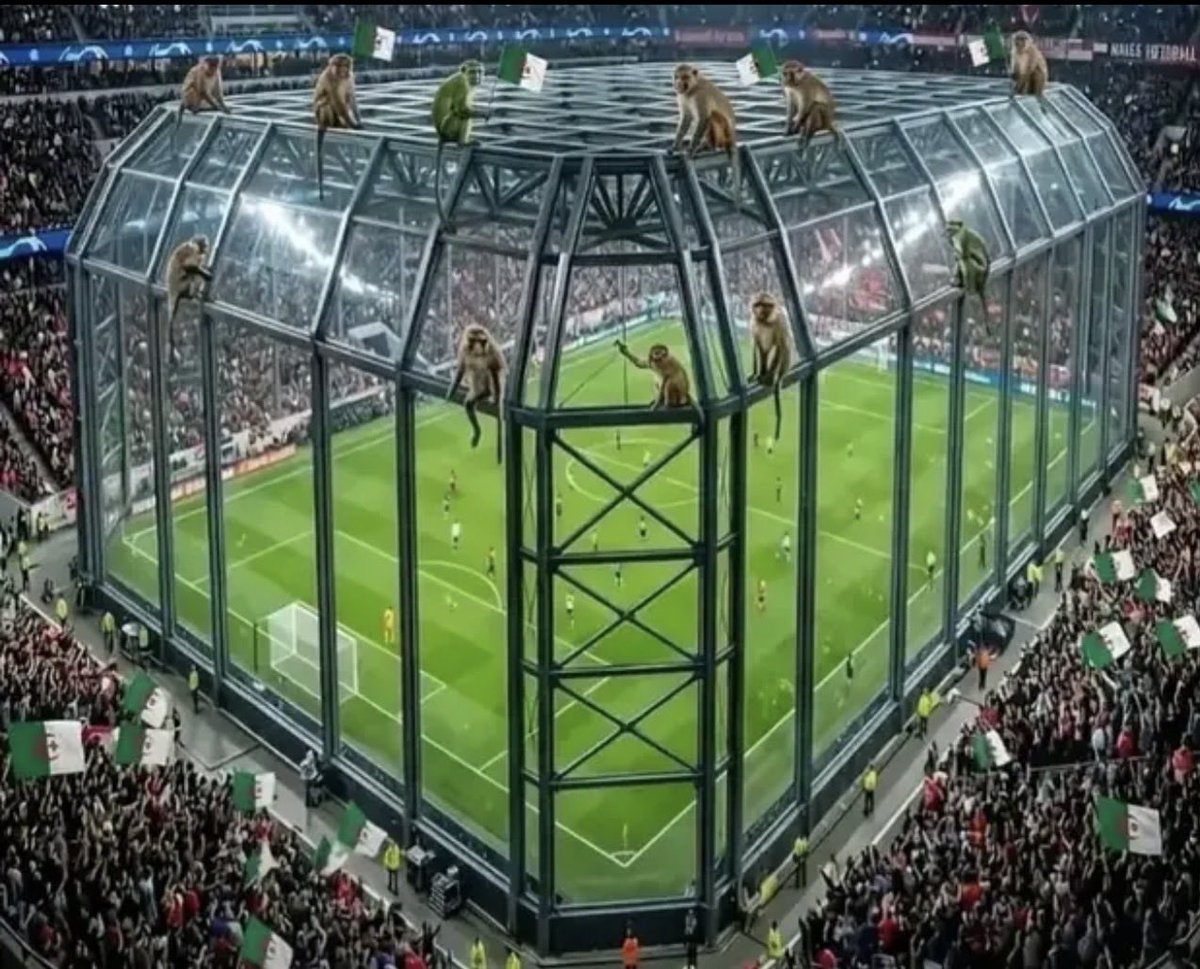 Sarah Ben tweet media