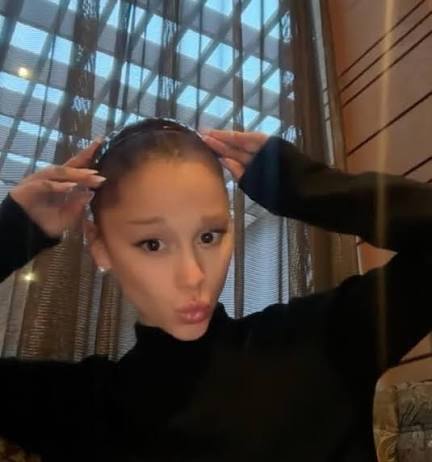 Ariana (fake) tweet media