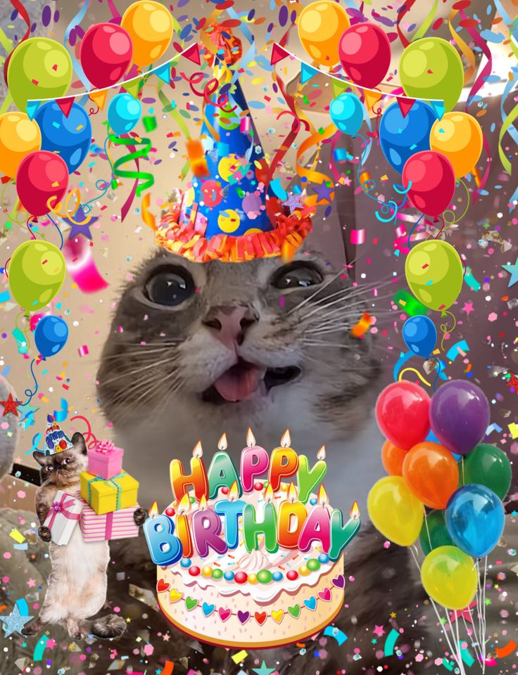 🍕𝐒𝐂𝐎𝐓𝐓 𝐅𝐚𝐦𝐢𝐥𝐲 𝐃𝐢𝐧𝐞𝐫🎈(Comms Open) tweet media