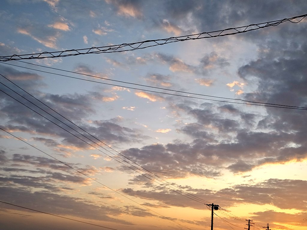 かりんと*𖠿 tweet media