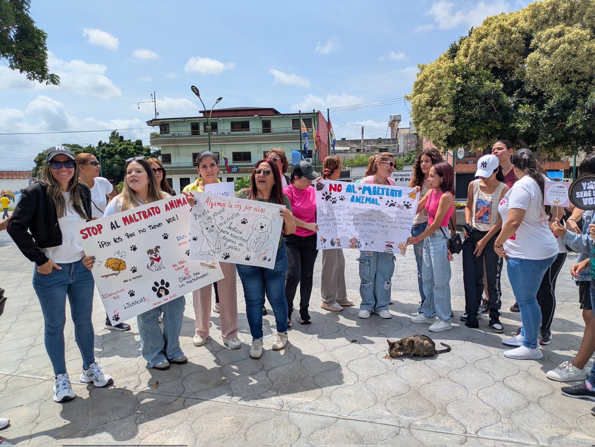 Patriciatc19's tweet photo. En #Yaracuy proteccionistas y defensores de los derechos de los animales pidieron la reforma de la ley para que se sancionen los casos de maltrato. 

Dijeron que existe agresión, abandono, envenenamiento, zoofilia, delitos que deben ser penalizados. "Ellos también tienen derecho" https://t.co/Eo7M8VzIqU