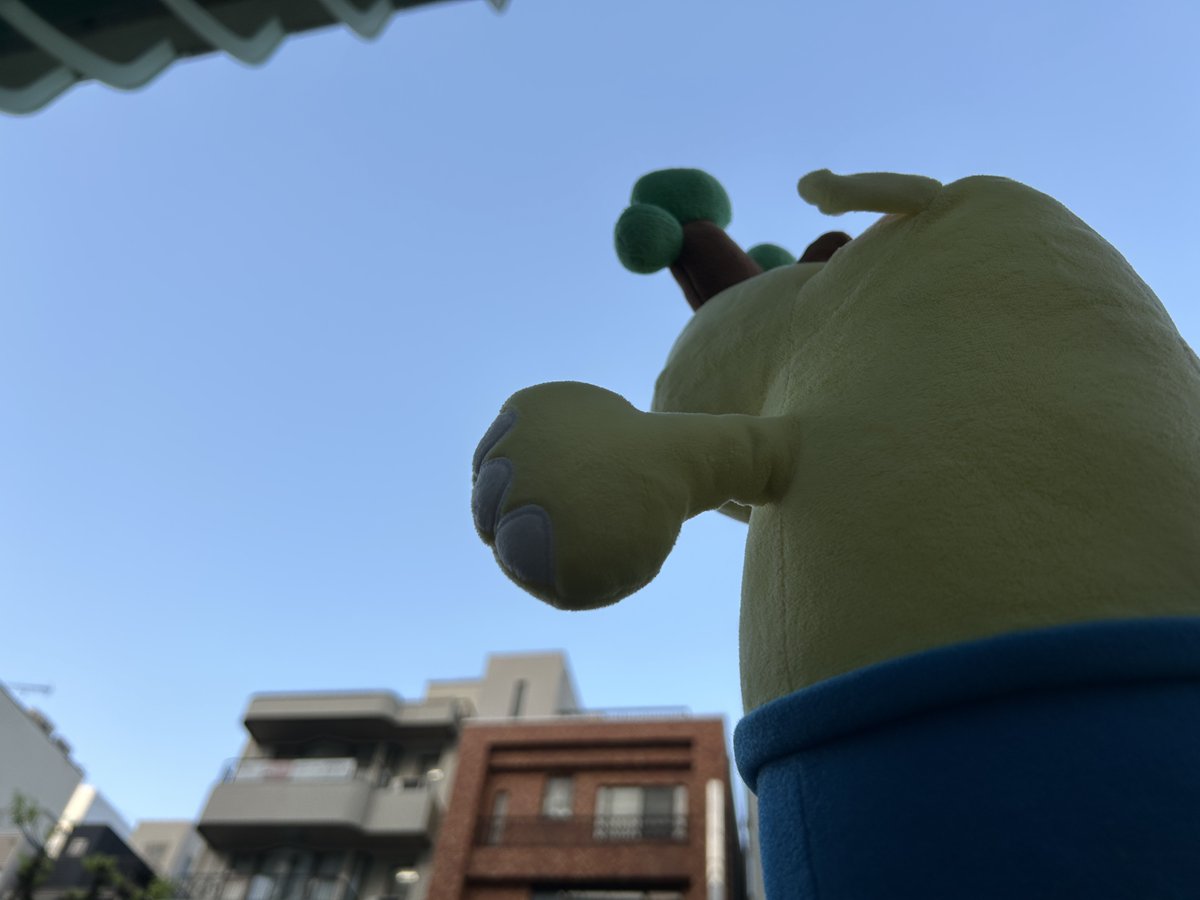 ☀️Good Luck！Morning！🌺 《FM NACK5》 tweet media