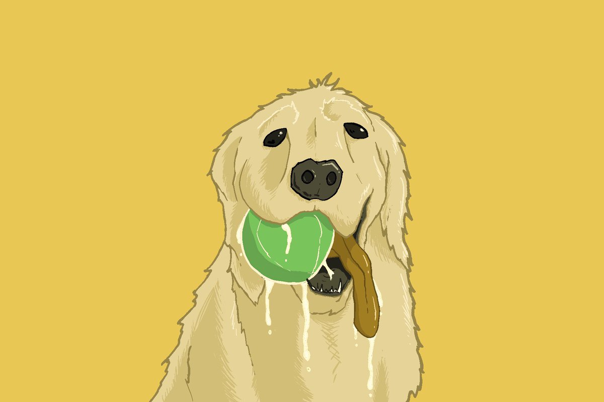 BewareCheese's tweet image. This sketch of a #GoldenRetriever is perfect for my upcoming project, that’s why I used #yellow to colour him up.

#sketch #drawing #dogs #puppy #theall