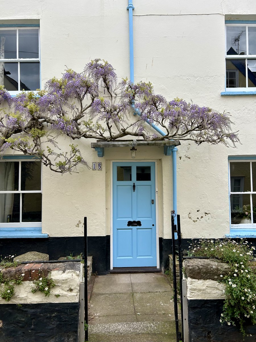 LorraineInglisD's tweet image. Sunday afternoon saunter 🌊

Low Spring tide and the scent of Wisteria in the air 🪻🩵

#photography #Devon #spring    #10minutesfromhome #flowersonX #sundayvibes #Topsham