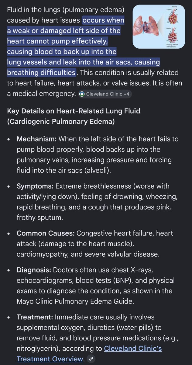 Playteaux tweet media