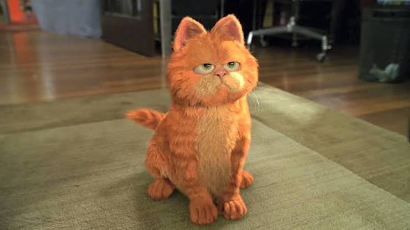 Kitten01Nora's tweet photo. @Jo_Catsidy 3 guesses what I am lol https://t.co/KSWKKMm4ex