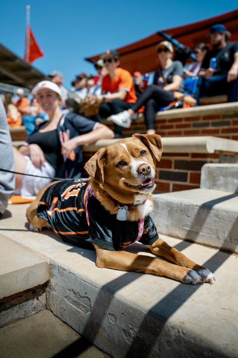 Oklahoma State Univ. tweet media