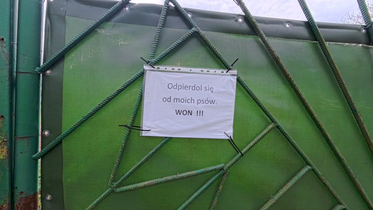 dzepe🍄 tweet media