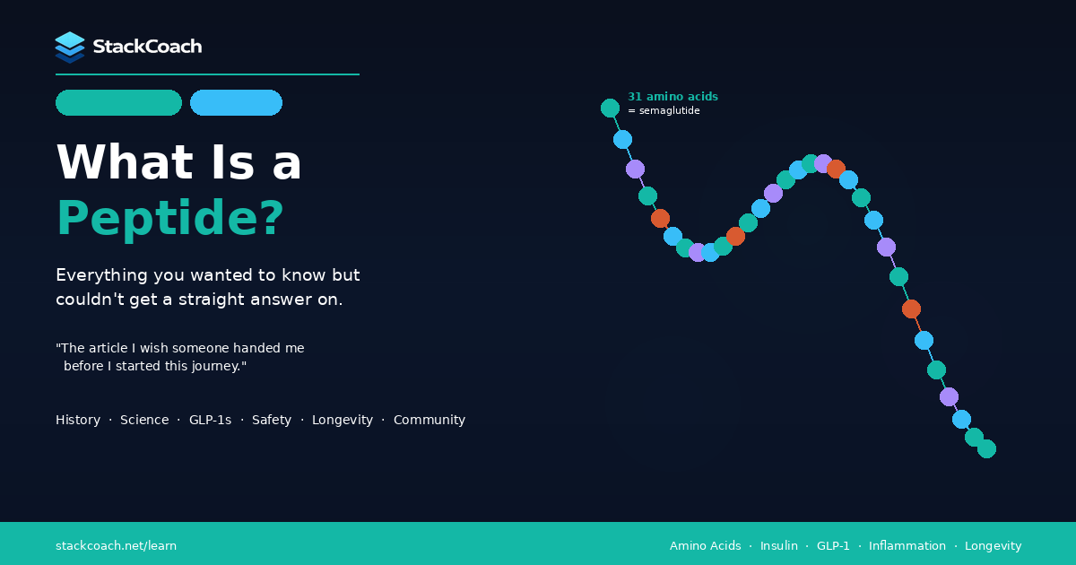 stackcoachapp's tweet photo. Stop wondering what peptides are. We break down their science, function, and common applications in simple terms, showing you how they're already part of your life.

Read more → https://t.co/az8jIlGOaG
#peptide #peptideforum #whatisapeptide #bestpeptideinfo https://t.co/mE9HWmuzr5