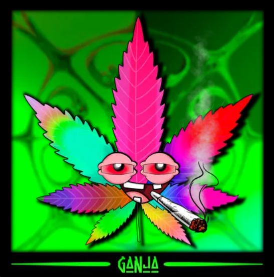 📦🧪 Ʀĺር𐌷ᗩՐԷ tweet media