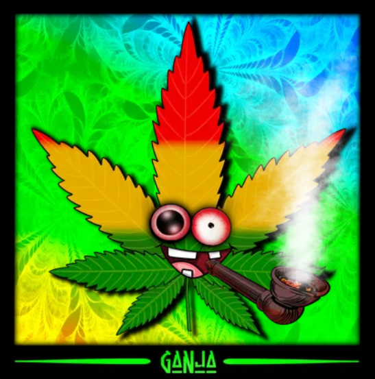 📦🧪 Ʀĺር𐌷ᗩՐԷ tweet media