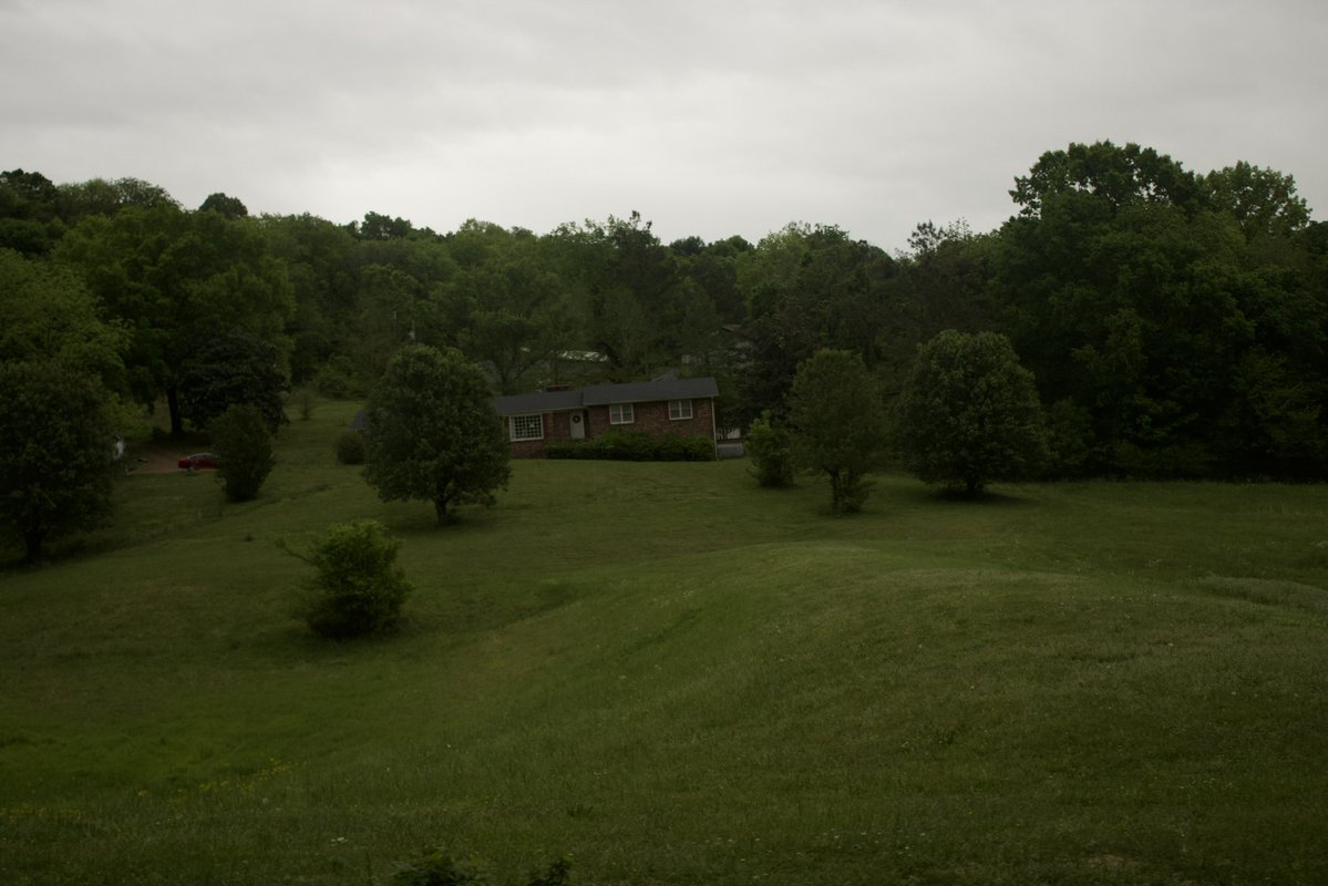 dreamland tweet media