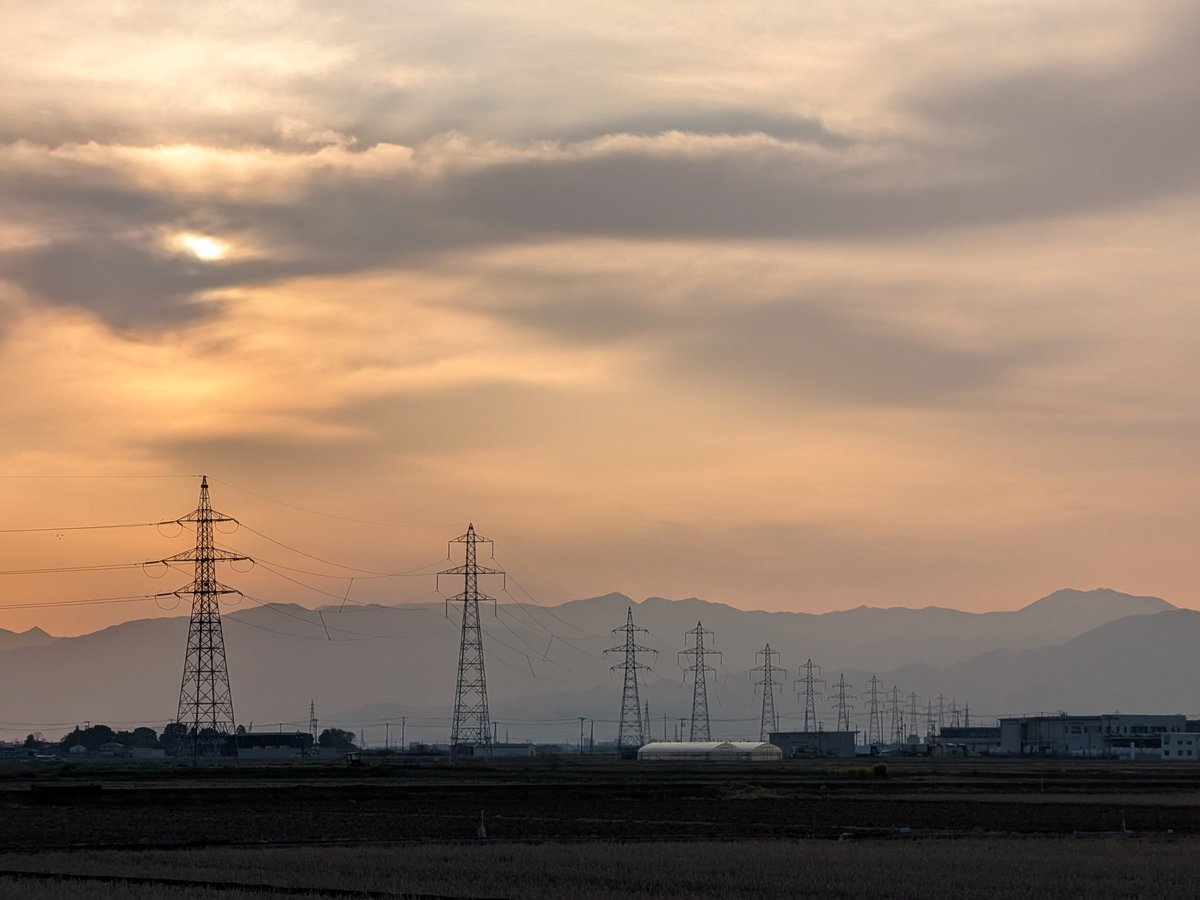 アコ吉 tweet media