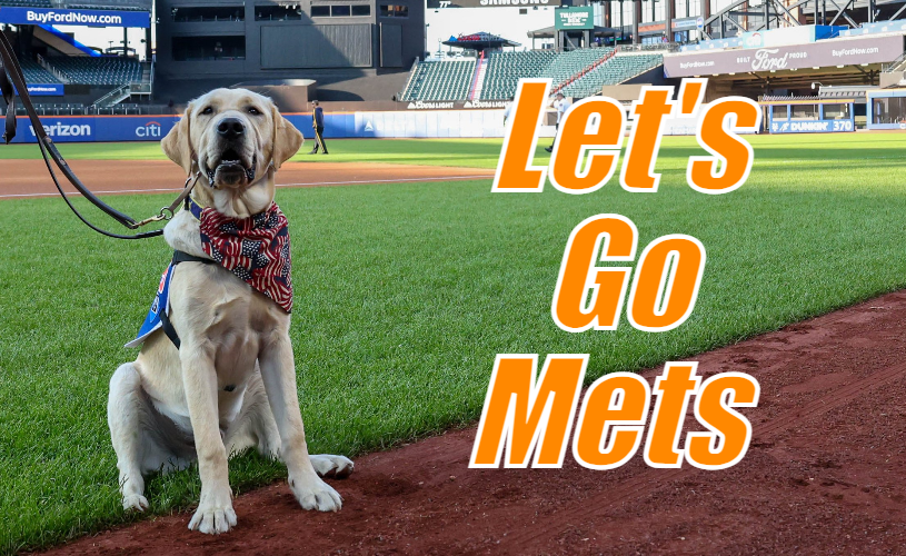 FormerDirtDart's tweet image. 1⃣

A #DoublePlay would still be great 

NYM  1⃣
CHC  0⃣

#LGM 🇰 🇰 + 🇰 + 🇰 + 🇰
#LetsGoMets 🍎
#Mets