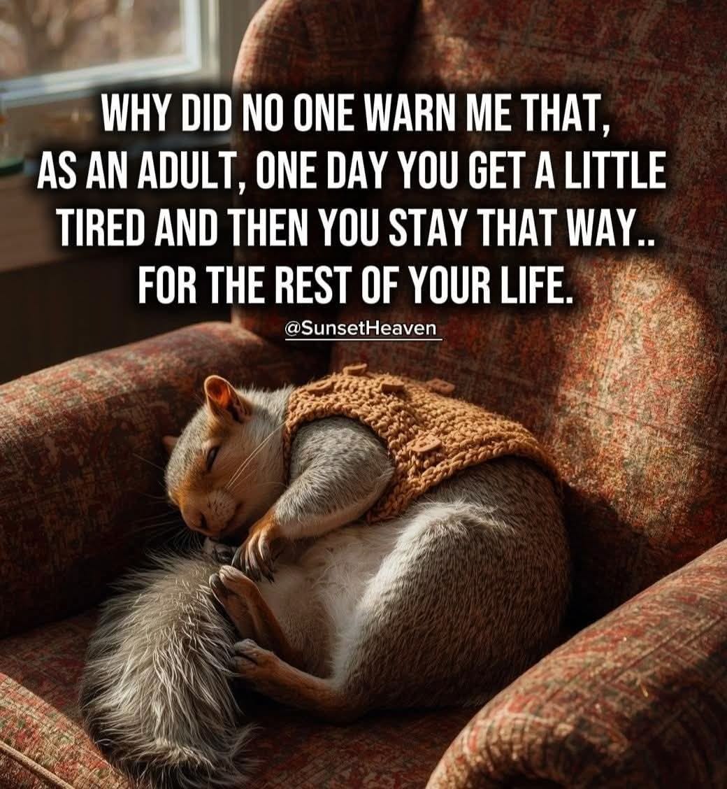 bonnimart1's tweet image. every damn day... 📷 #sunday #tired