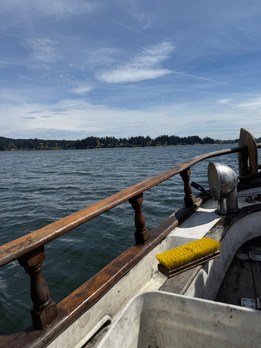 Sunday scrubday, guud distraction 📉