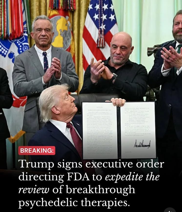 Joannajac's tweet image. @IvankaTrump - #SmallWorld 🌱
cc: @WhiteHouse #JoeRogan 🍄⚡️