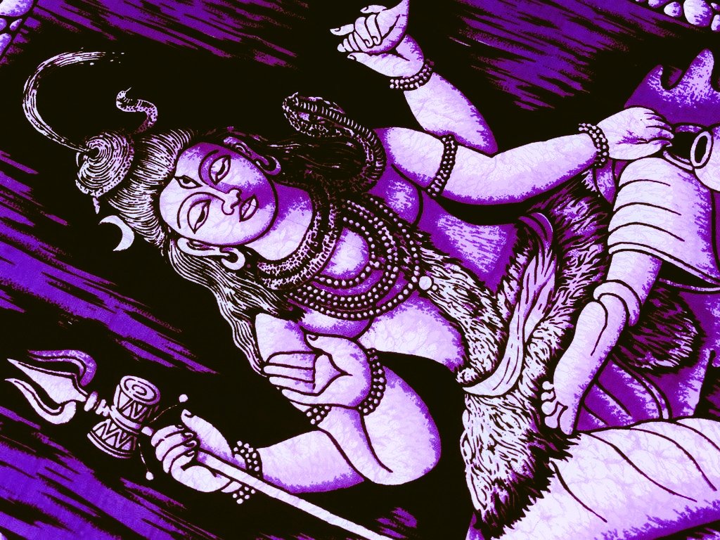 astragust's tweet photo. Tiger tiger, burning bright,
in the forests of the night;
What immortal hand or eye
dare frame thy fearful symmetry?

(William Blake, The Tiger) https://t.co/fg0hNpNi58
