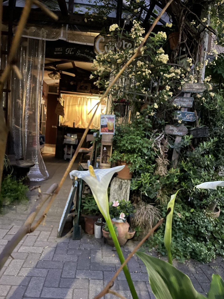 綺麗な空です
雲がかかって良いアクセント

さて、本日ほお昼までのオープンです。
午後はお休みです。

よろしくお願いいたします

まずは早朝オープンです。

#早朝オープンカフェコモレビカフェ
#コーヒーコモレビカフェ
#レモネードコモレビカフェ
#お酢レモン
#抹茶レモネードコモレビカフェ